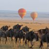 Serengeti-Balloon
