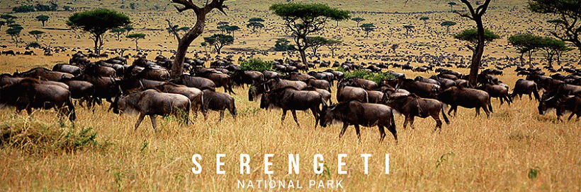 serengeti_national_park1